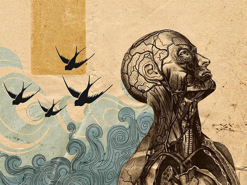 Small daily habits that protect your mental health