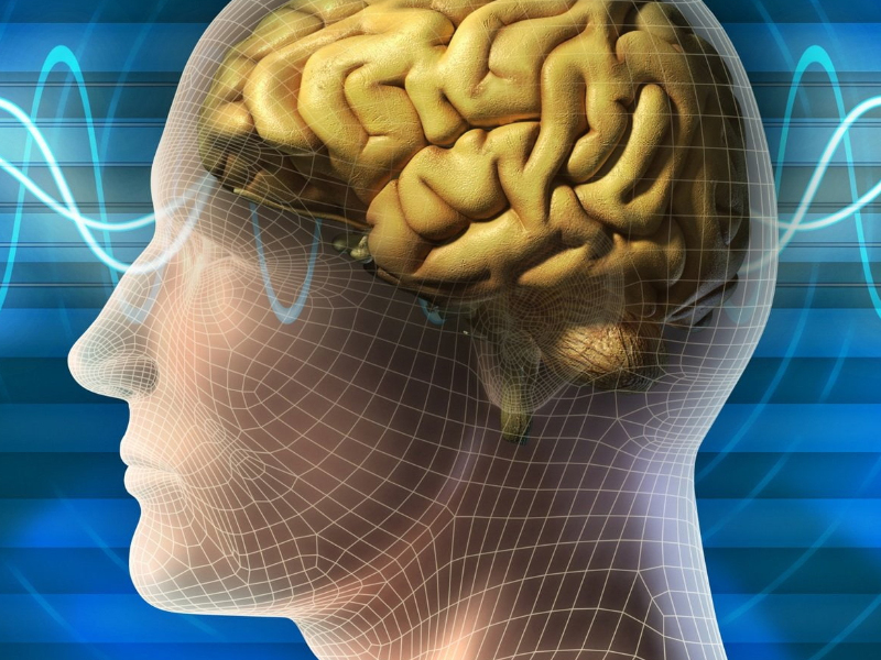 Understanding anxiety: when worry becomes a disorder